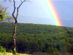 4 5 2005 arc en ciel sur la fort de Rimsdorf