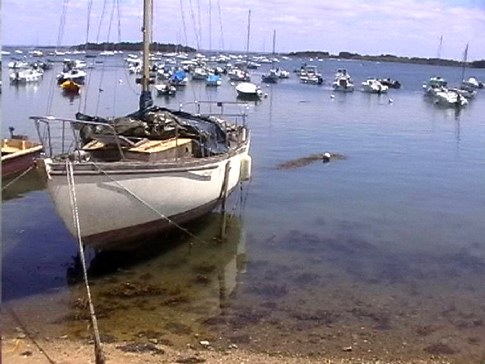 en face du resau petit port