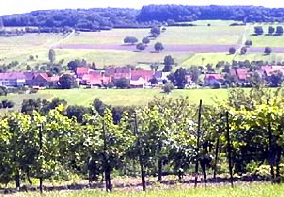Berg
